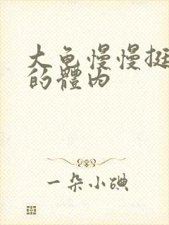 大龟慢慢挺进我的体内