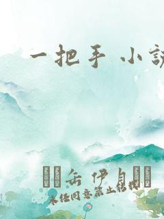 一把手 小说