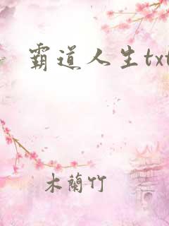 霸道人生txt