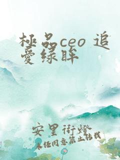 极品ceo 追爱绿眸