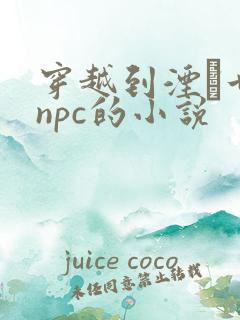 穿越到湮婸世界npc的小说