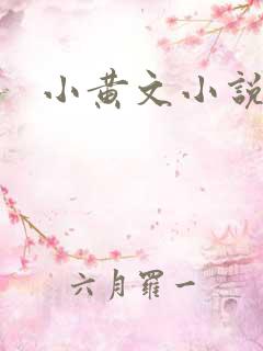小黄文小说