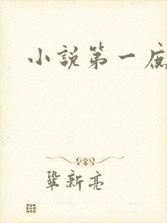 小说第一庶女