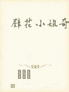 壁花小姐奇遇记