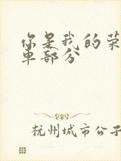 你是我的荣耀开车部分