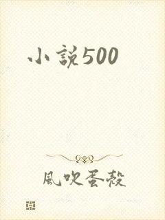 小说500