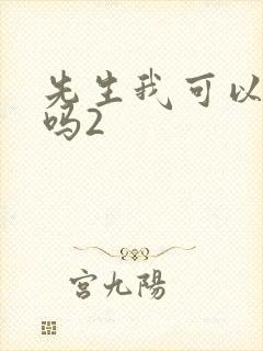 先生我可以上你吗2