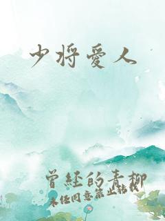 少将爱人