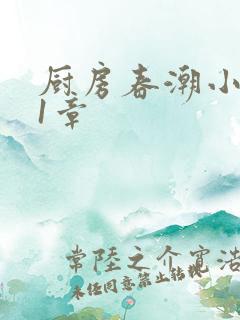 厨房春潮小说第1章