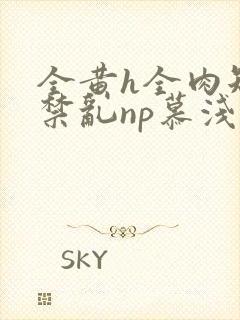 全黄h全肉短篇禁乱np慕浅浅