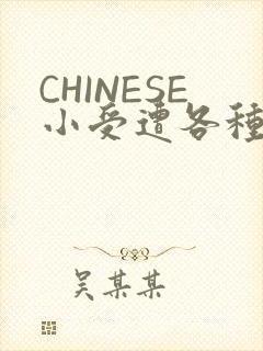 CHINESE小受遭各种打桩