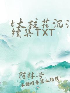 t大校花沉浮录续集TXT