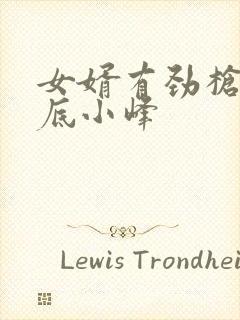 女婿有劲枪枪到底小峰