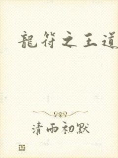龙符之王道天下