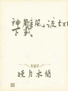 神雕风流txt下载