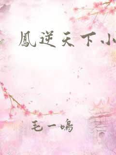 凤逆天下小说