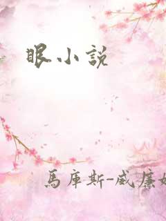 眼小说