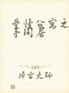 爱情公寓之与杀手同居