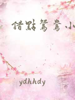 错点鸳鸯小说