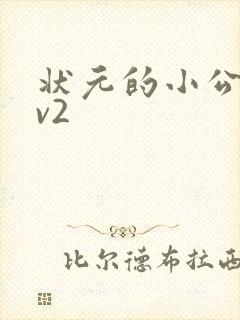 状元的小公主1v2