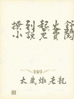 撩到起火舒漾的小说免费阅读全文