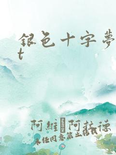 银色十字梦txt