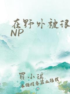 在野外被很多人NP