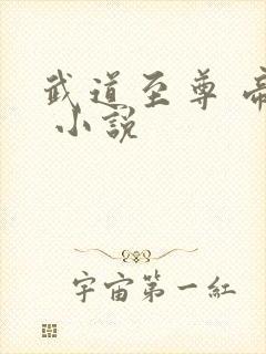 武道至尊 帝临 小说