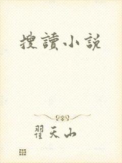 搜读小说