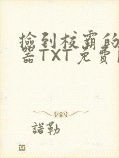 捡到校霸的遥控器TXT免费阅读