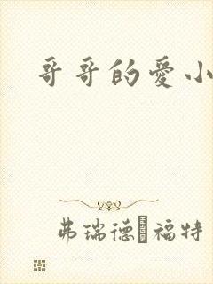 哥哥的爱小说