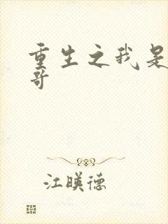 重生之我是大帅哥