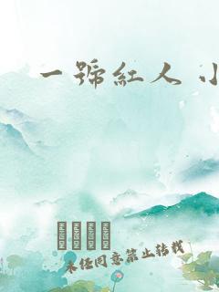 一号红人 小说