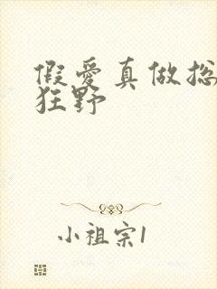 假爱真做总裁太狂野