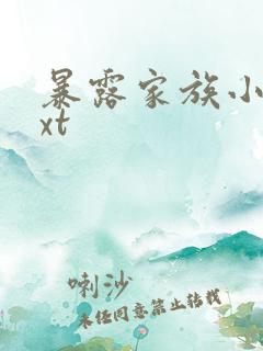 暴露家族小说txt