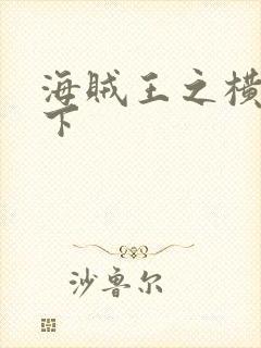 海贼王之横行天下