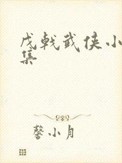 戊戟武侠小说全集