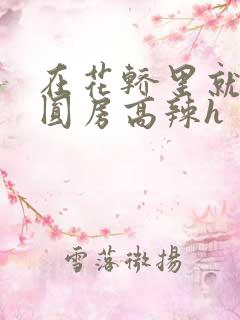 在花轿里就开始圆房高辣h