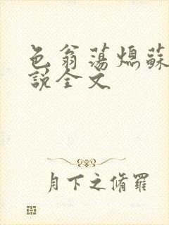 色翁荡熄苏钥小说全文