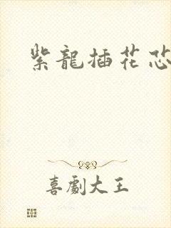 紫龙插花芯方正