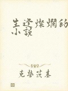 生逢灿烂的日子小说