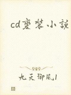 cd变装小说