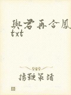 与君再合凤求凰txt