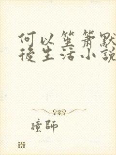 何以笙箫默之婚后生活小说
