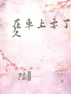 在车上要了我很久