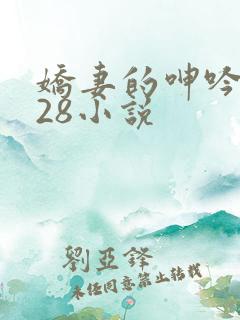 娇妻的呻吟1—28小说