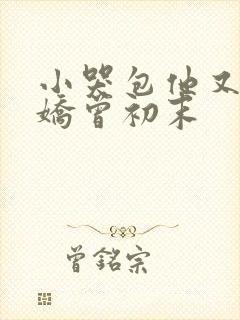 小哭包他又软又娇曾初末