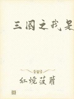 三国之我是华雄