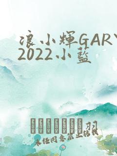 浪小辉GARY2022小蓝