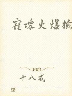 宠坏火爆检察官